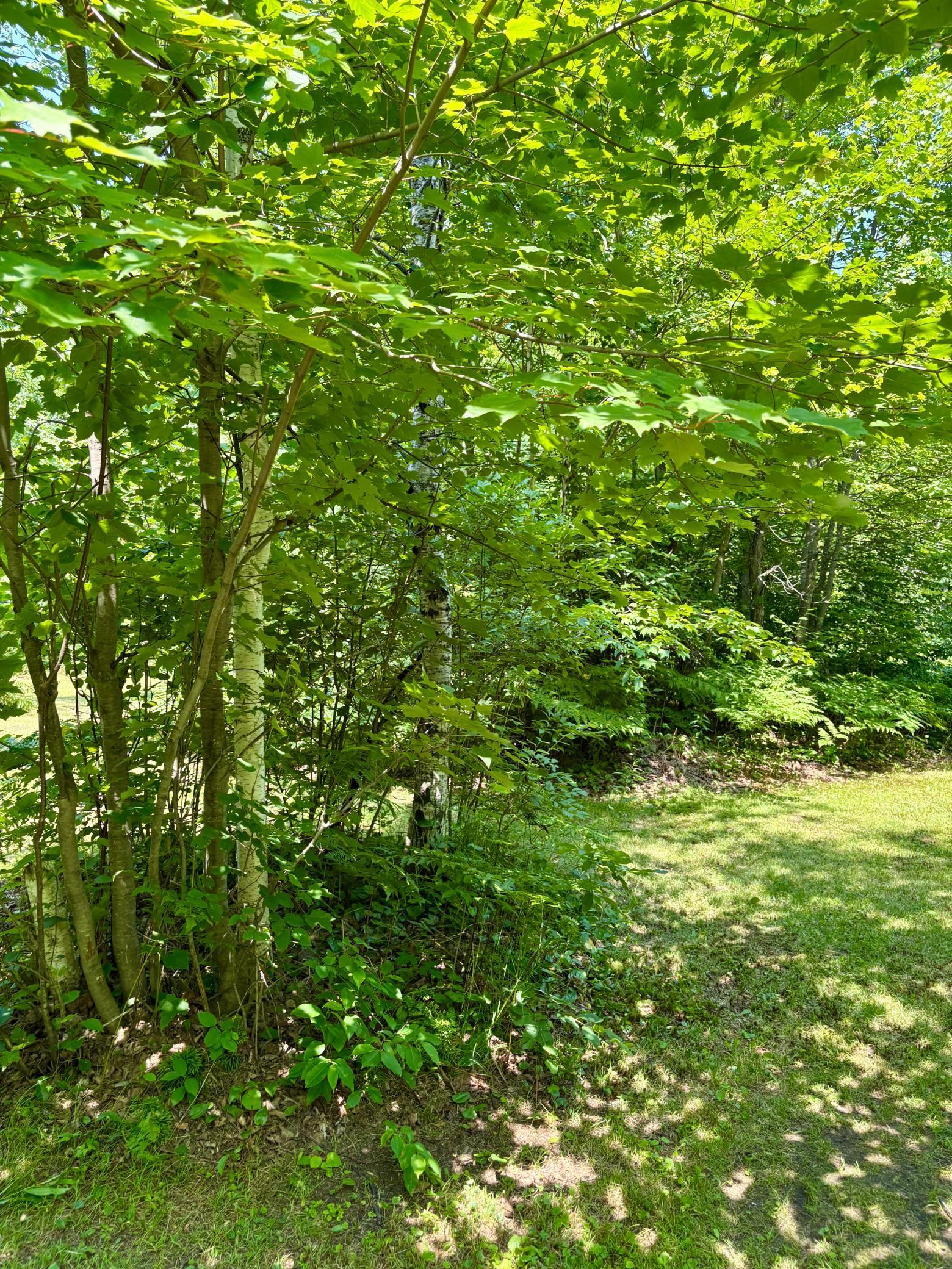 2594 County Road 8 Barnum Twp MN 55707