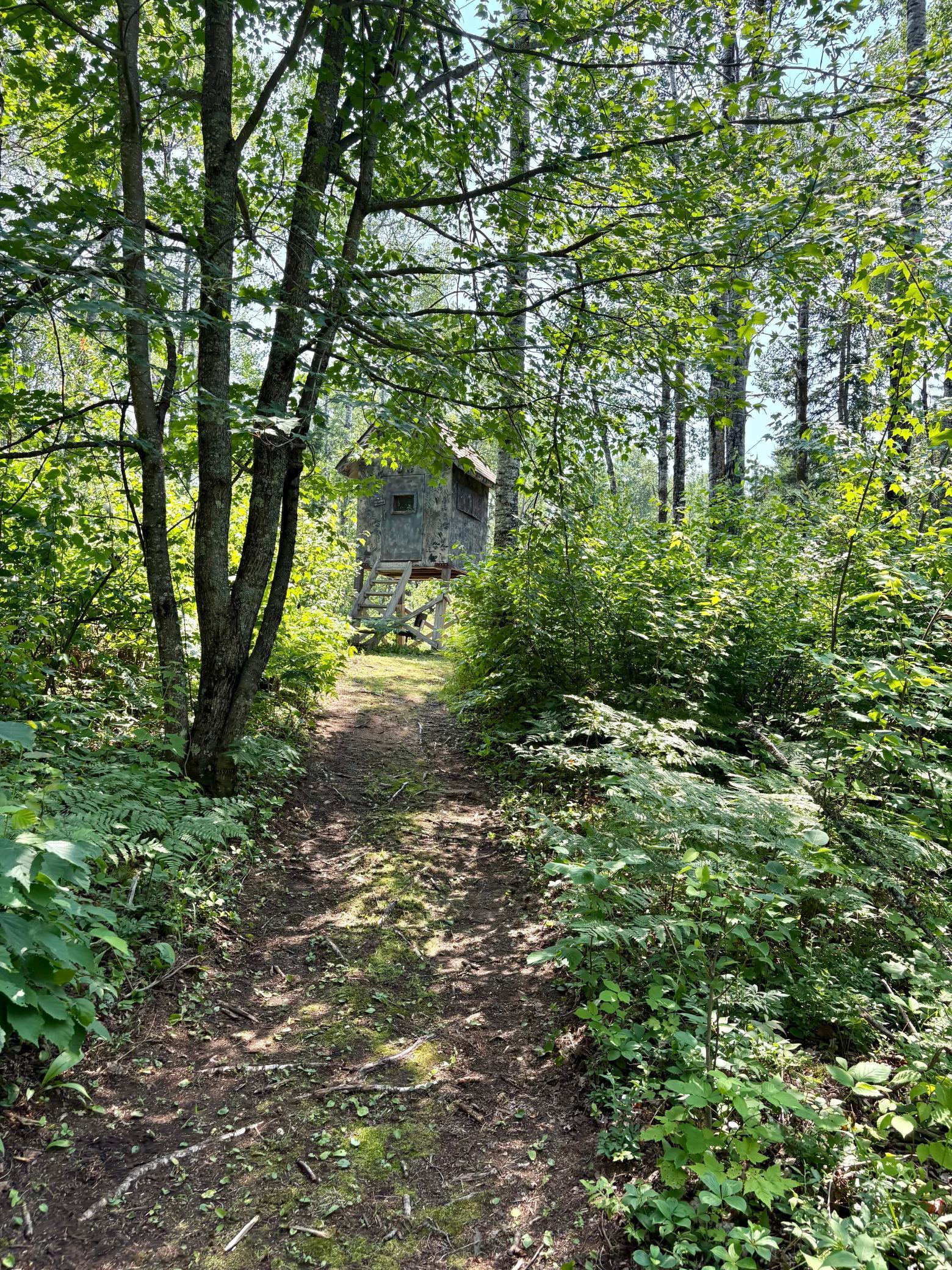 2594 County Road 8 Barnum Twp MN 55707