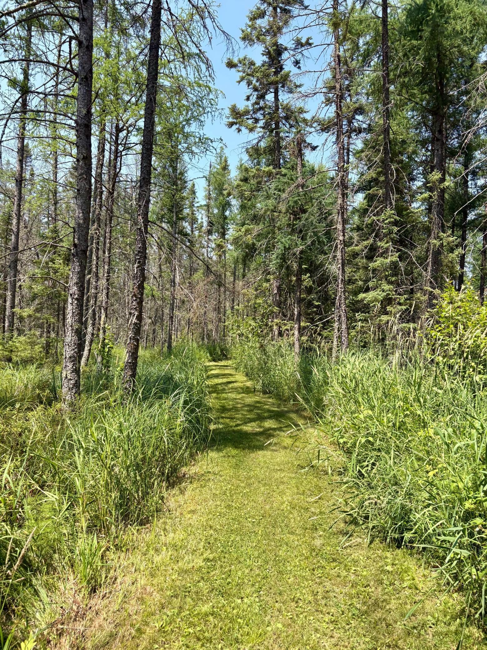 2594 County Road 8 Barnum Twp MN 55707