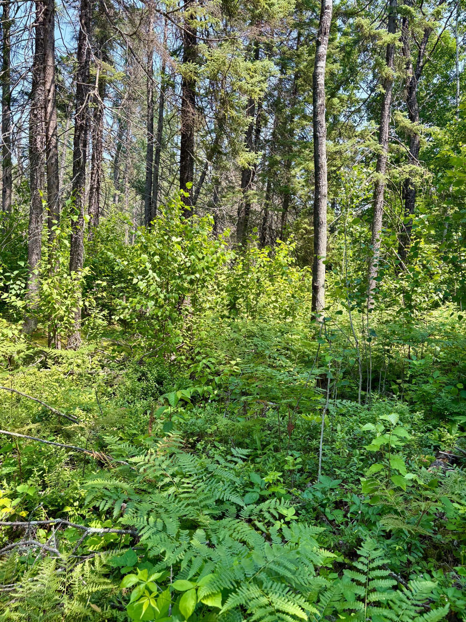 2594 County Road 8 Barnum Twp MN 55707