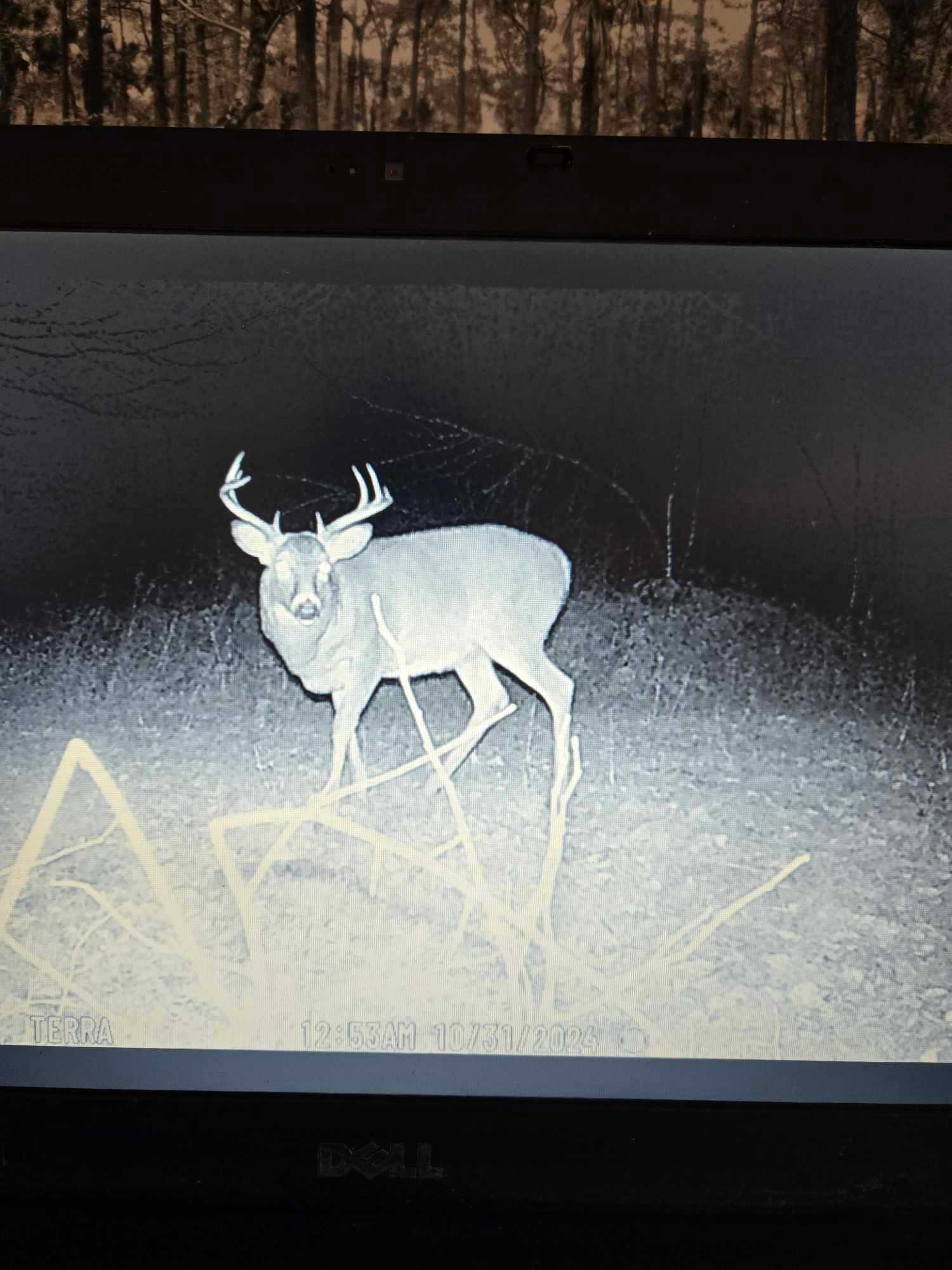 2594 County Road 8 Barnum Twp MN 55707