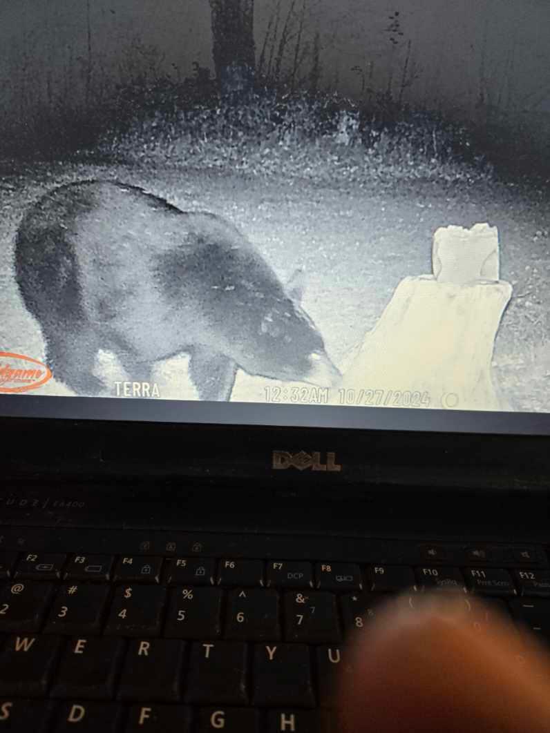 2594 County Road 8 Barnum Twp MN 55707