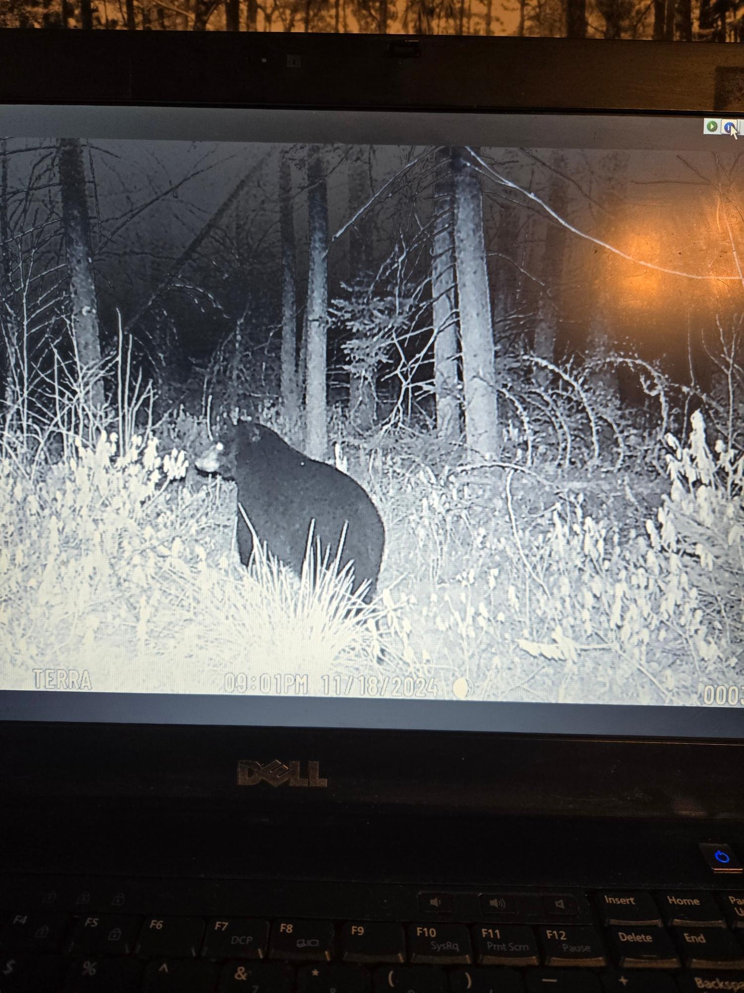 2594 County Road 8 Barnum Twp MN 55707