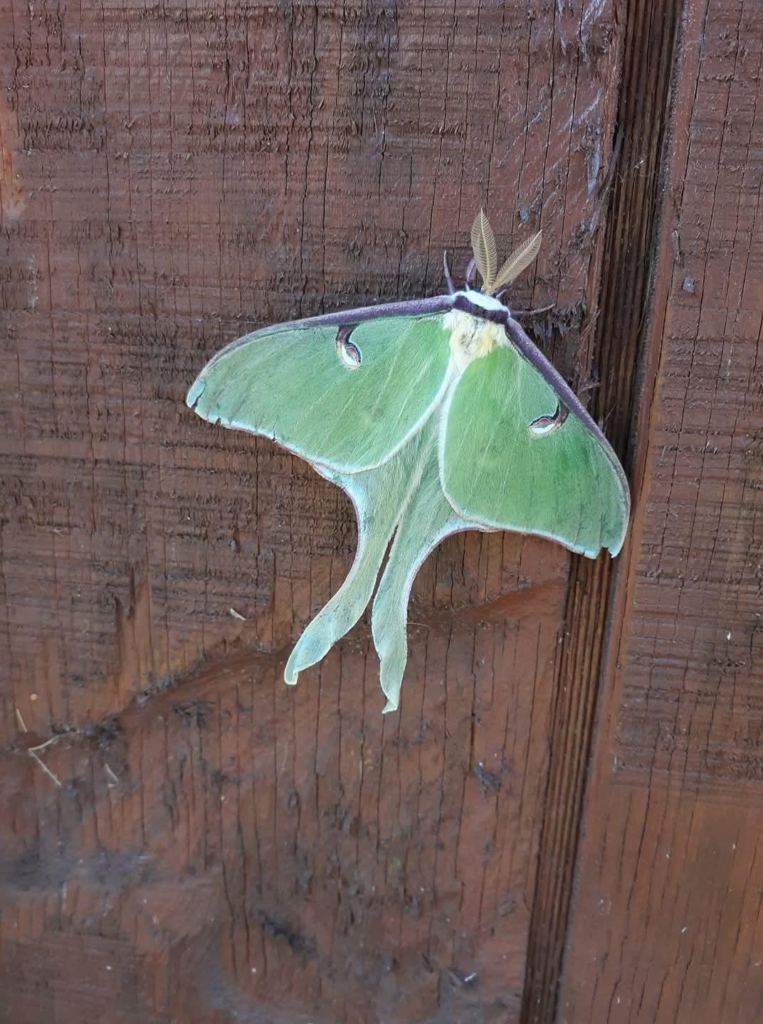 2594 County Road 8 Barnum Twp MN 55707