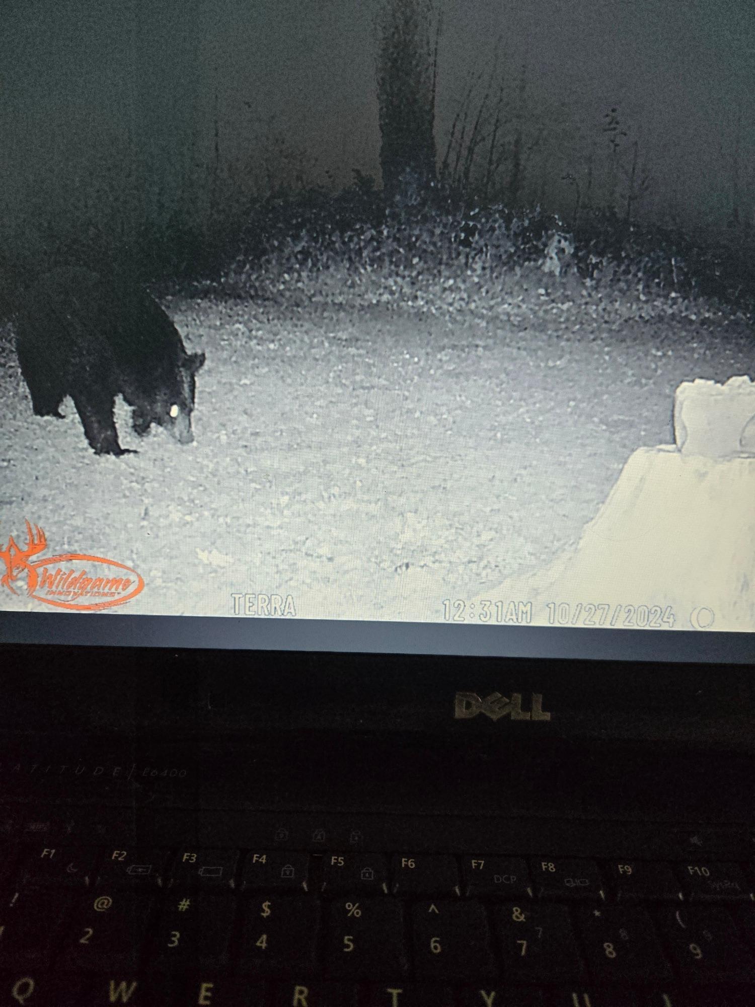 2594 County Road 8 Barnum Twp MN 55707