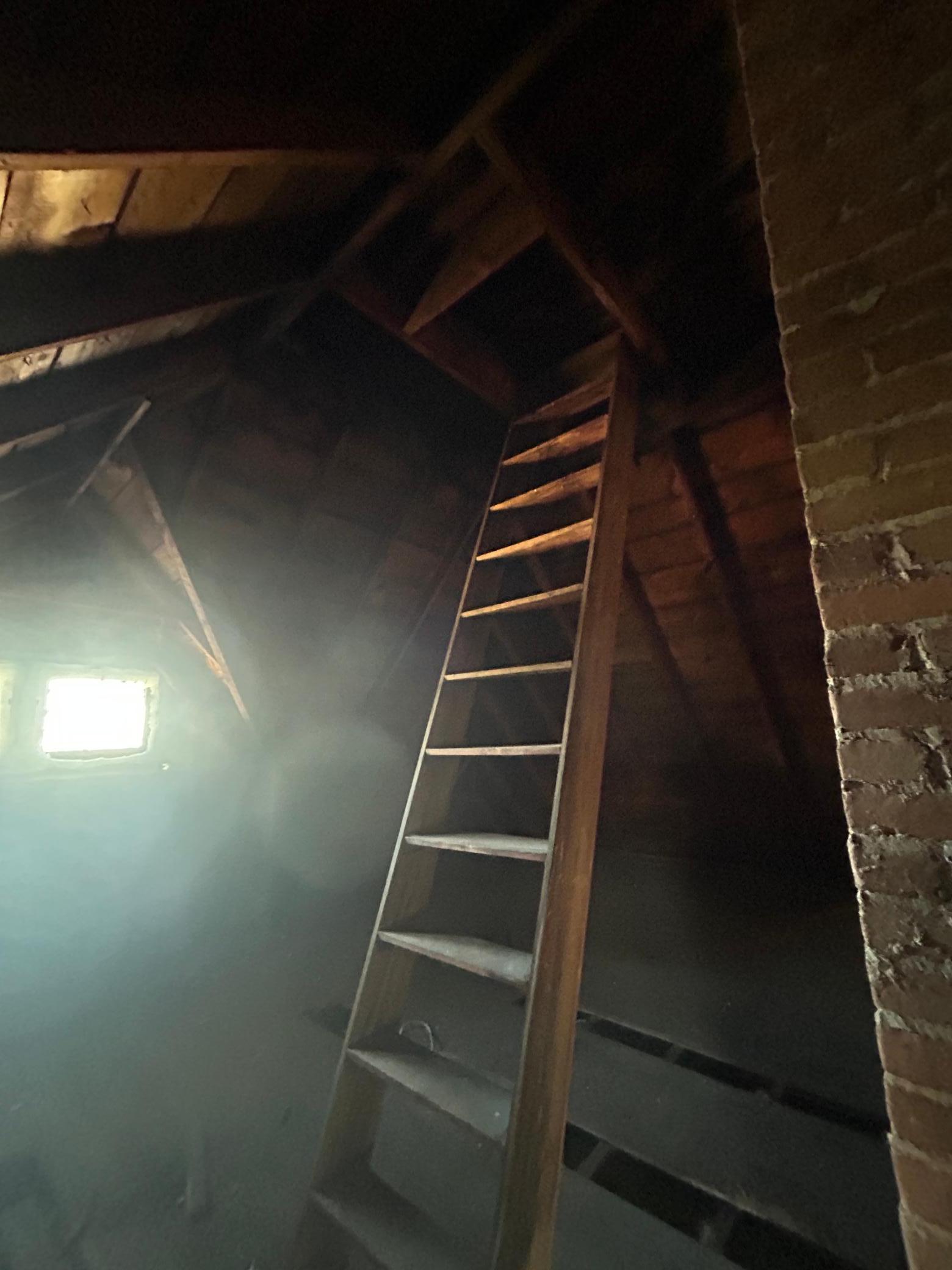 304 S Broadway Alden MN 56009