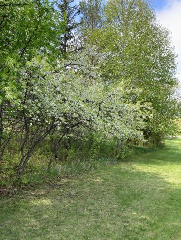 15126 Tumuli Road Dalton MN 56324