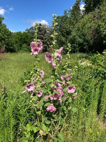 15126 Tumuli Road Dalton MN 56324