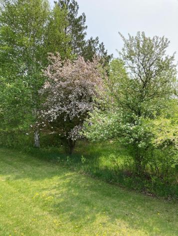 15126 Tumuli Road Dalton MN 56324