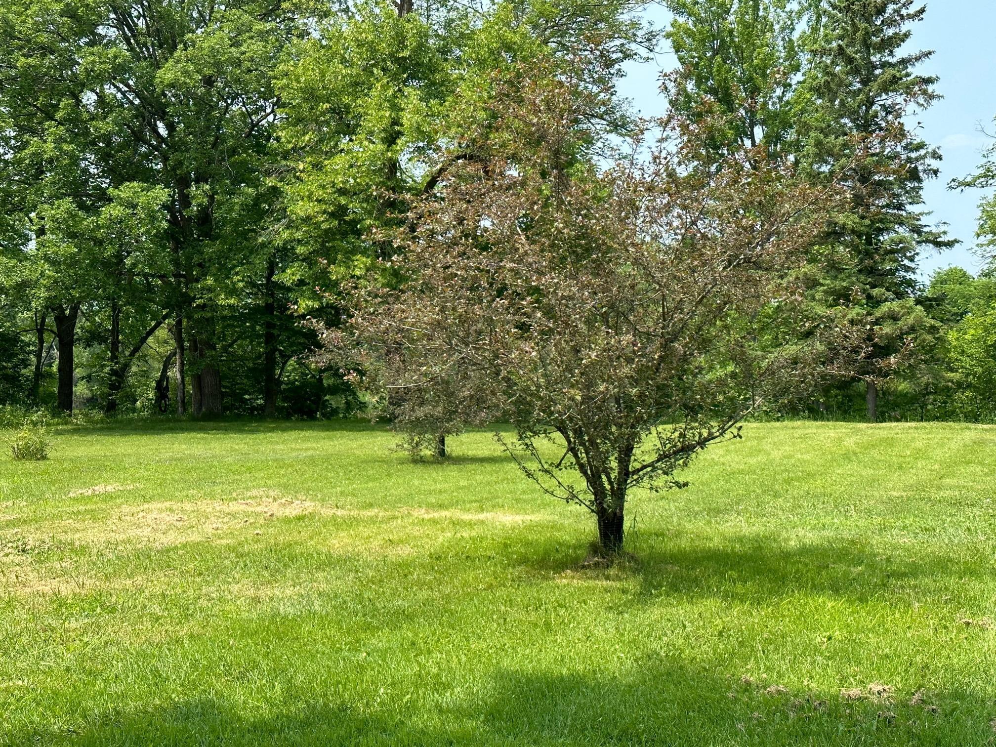 36082 437th Lane Aitkin MN 56431