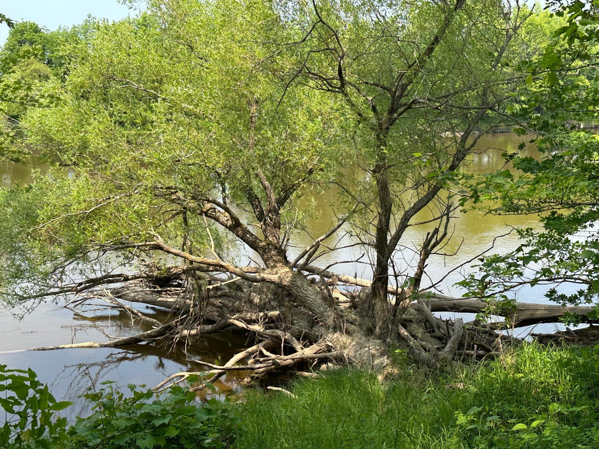 36082 437th Lane Aitkin MN 56431