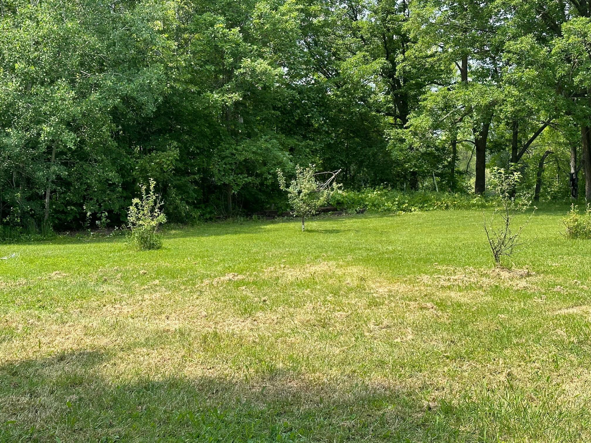 36082 437th Lane Aitkin MN 56431