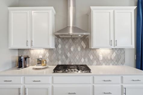 4565 Cobalt Lane Woodbury MN 55129