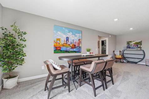 4565 Cobalt Lane Woodbury MN 55129