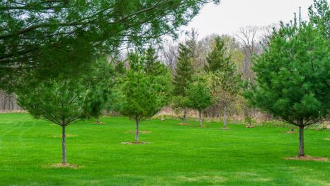 33071 Holly Road Pine City MN 55063