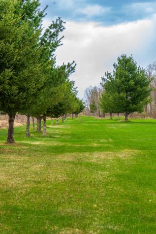 33071 Holly Road Pine City MN 55063