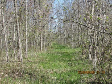 33071 Holly Road Pine City MN 55063