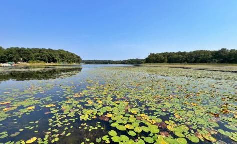 22835 Osprey Road Deerwood MN 56444