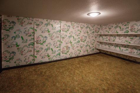 13222 176th Street Wadena MN 56482