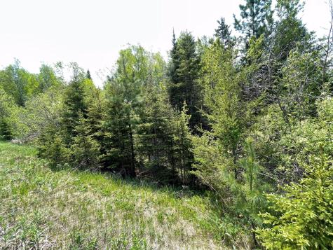 6095 Highway 1 Silver Bay MN 55614