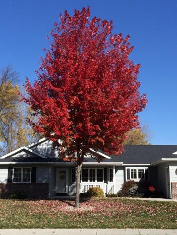 100 Crystal Lane Mankato MN 56001