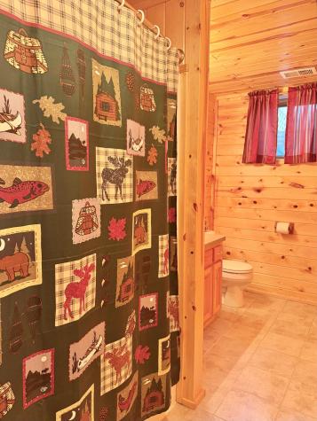 29109 Omega Drive Laporte MN 56461