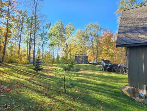 34198 Moose Trail Park Rapids MN 56461