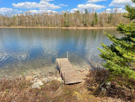 34198 Moose Trail Park Rapids MN 56461