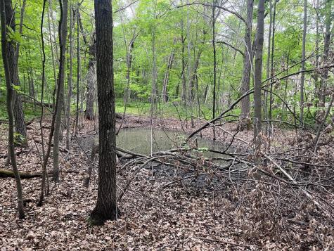 Xxx Crust Road Brainerd MN 56401