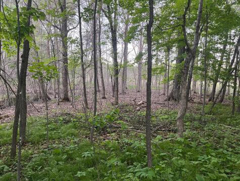 Xxx Crust Road Brainerd MN 56401