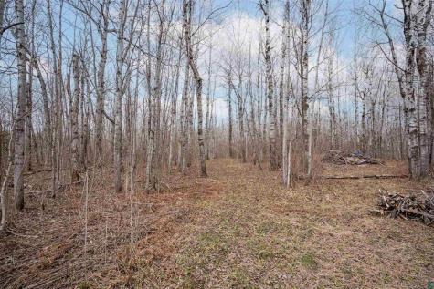 255 E Harney Road Esko MN 55733