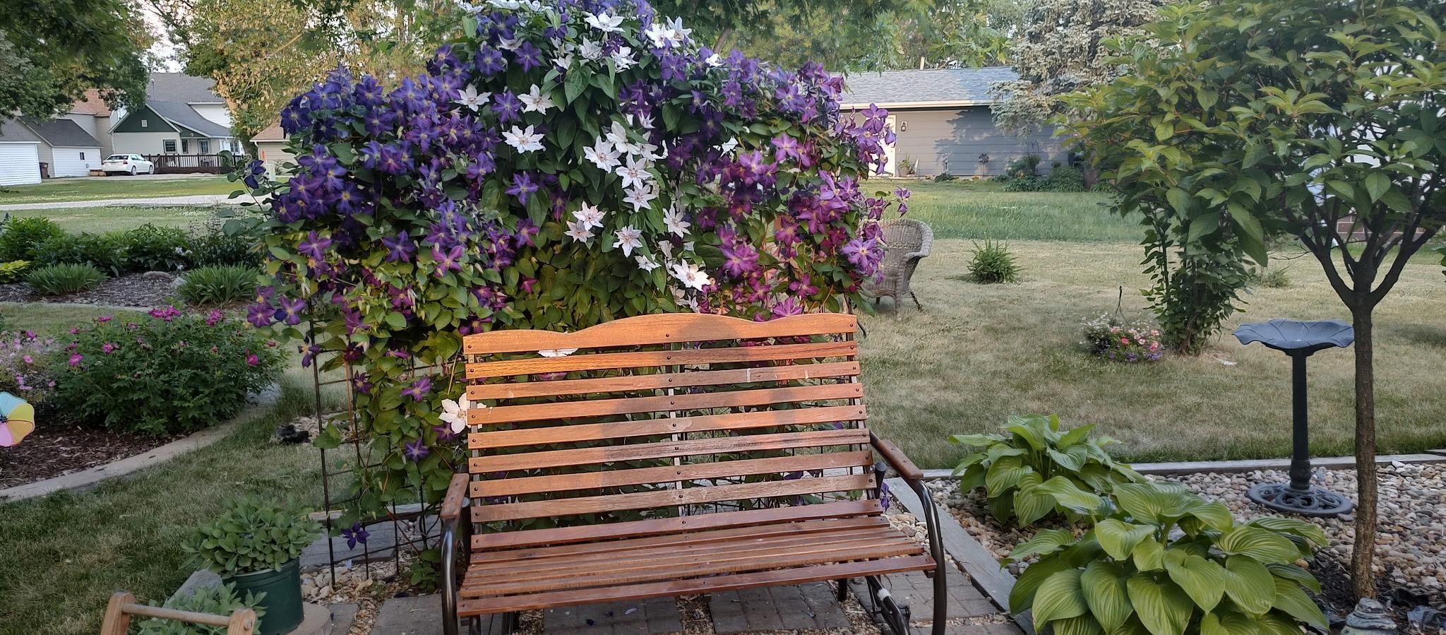 146 Washington Avenue Alden MN 56009