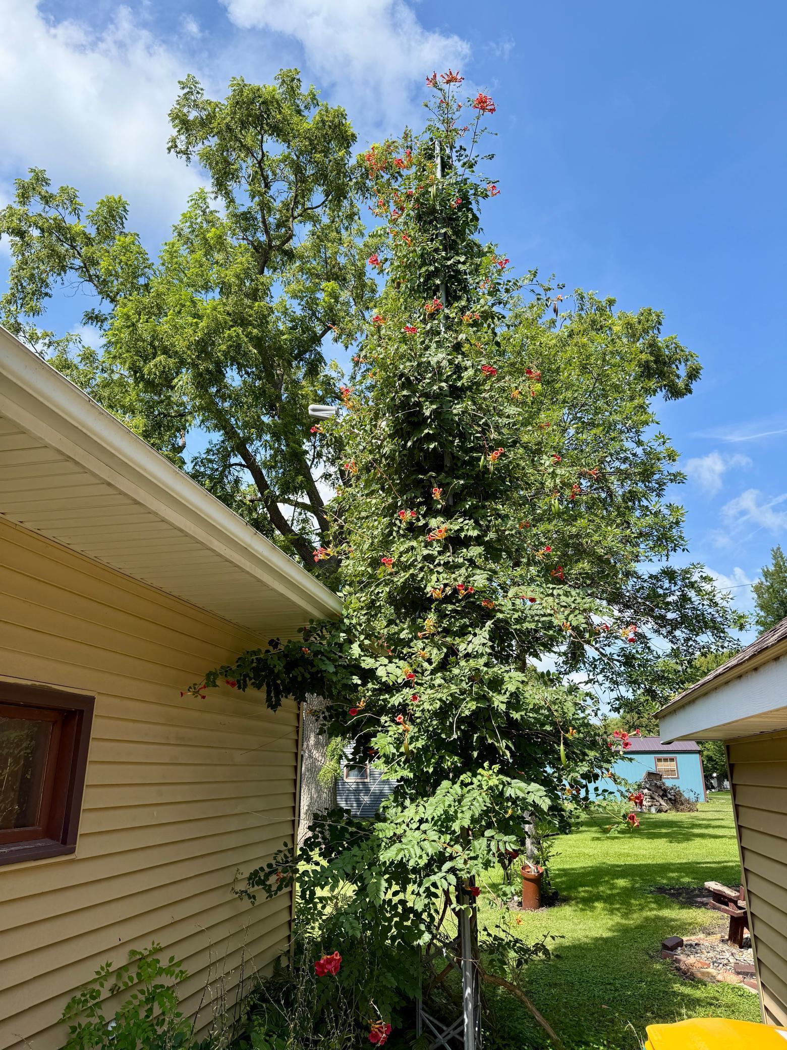 146 Washington Avenue Alden MN 56009