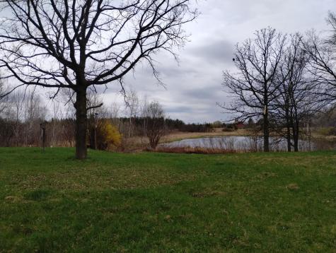 2424 Olympic Street Brook Park MN 55007