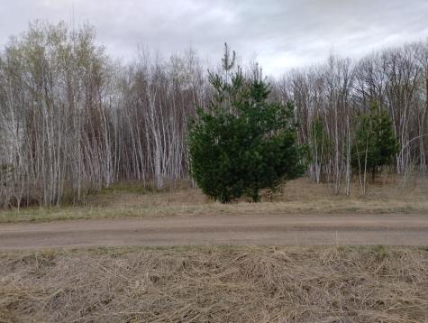 2424 Olympic Street Brook Park MN 55007