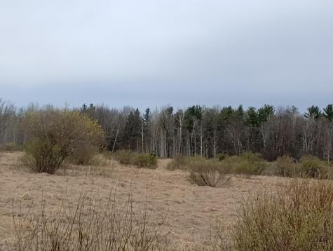 2424 Olympic Street Brook Park MN 55007
