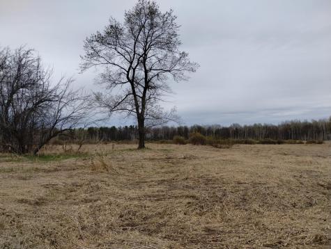 2424 Olympic Street Brook Park MN 55007