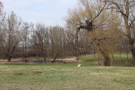 18688 County Road 3 NE Miltona MN 56354