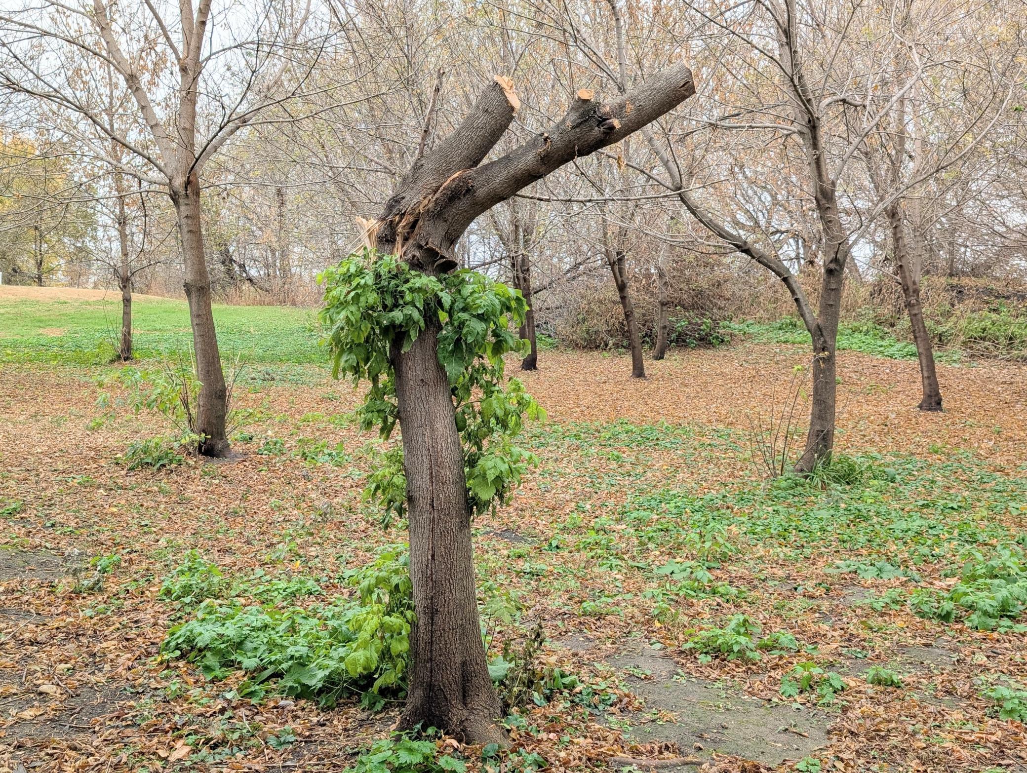 22598 700th Avenue Albert Lea MN 56007