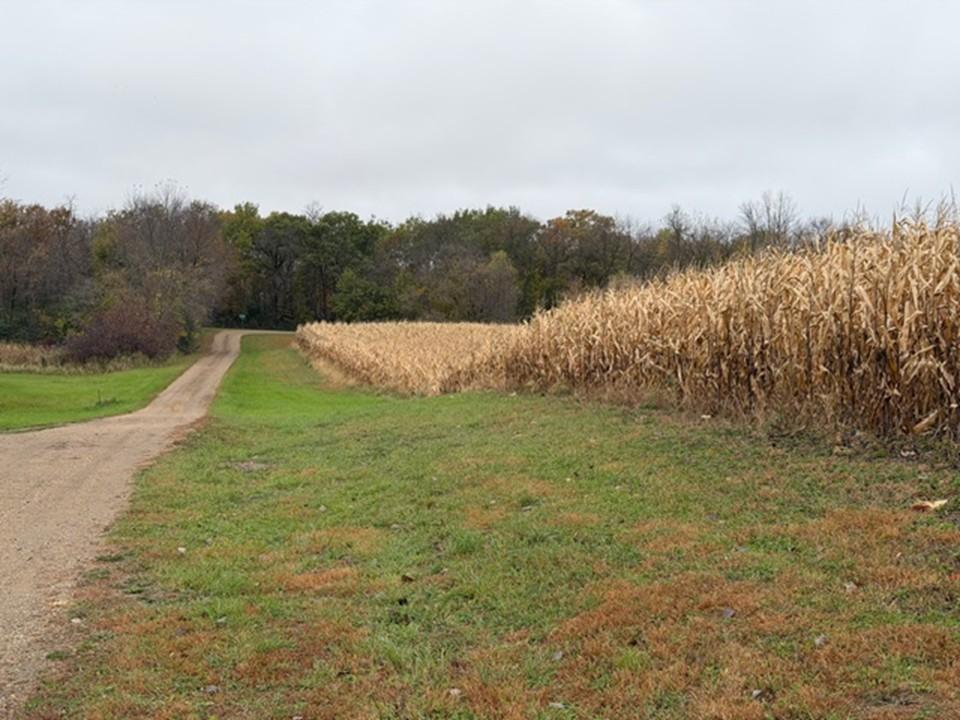 33100 Saint Olaf Way Battle Lake MN 56515