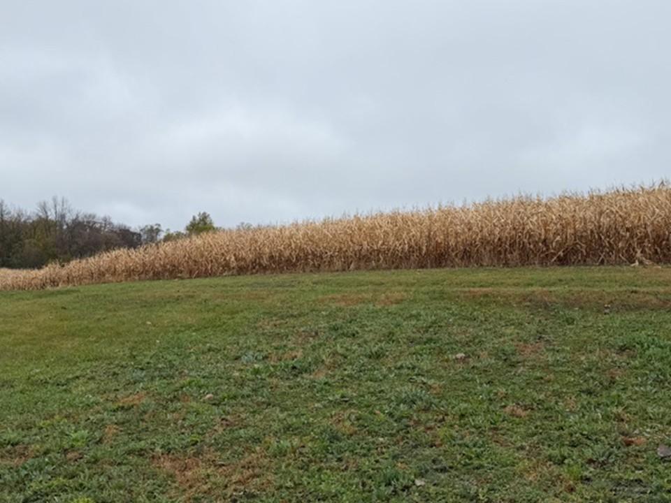 33100 Saint Olaf Way Battle Lake MN 56515