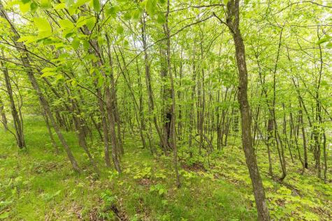 33003 County Highway 27 Erhard MN 56534