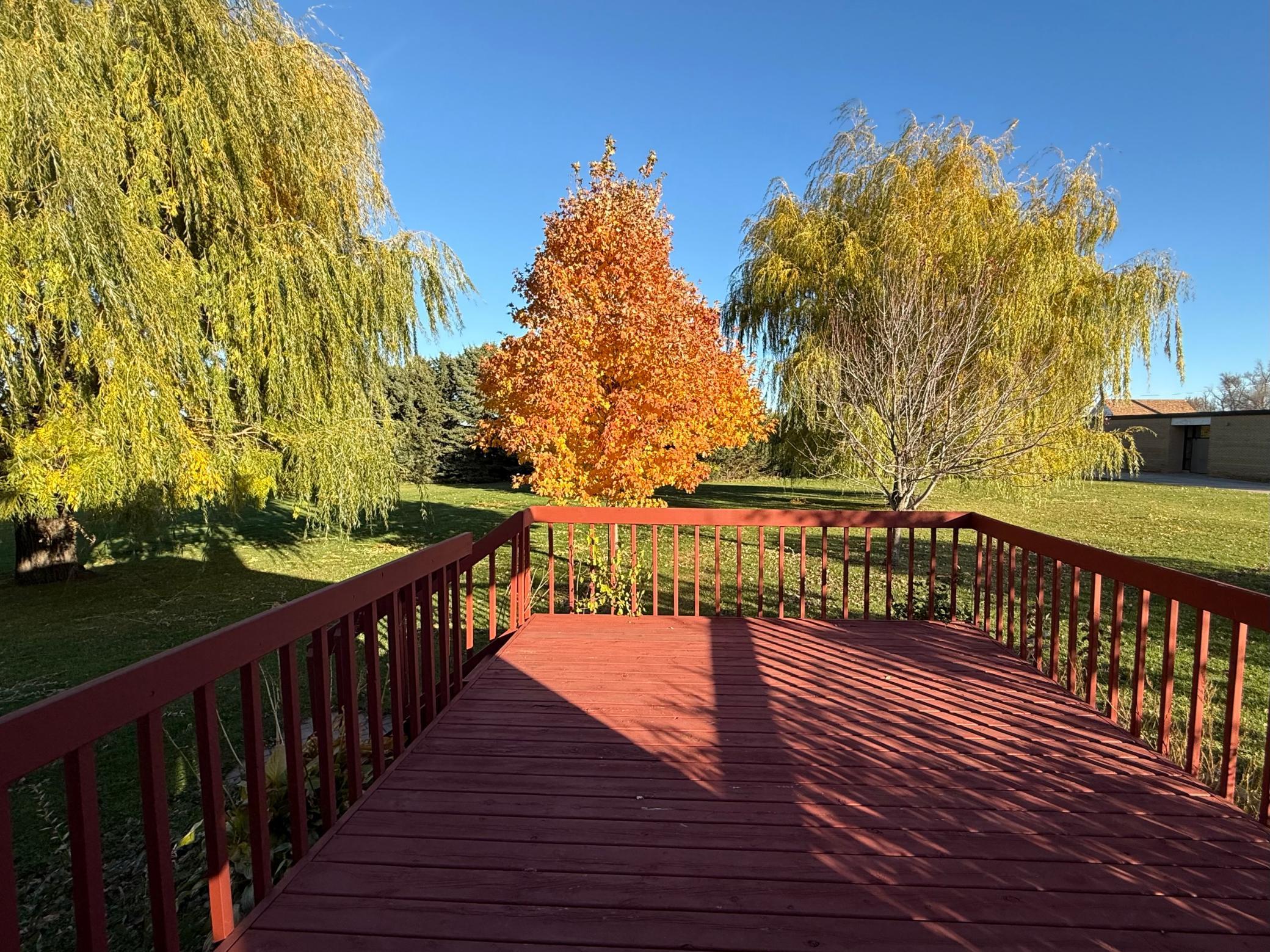 106 N 2nd Street Belview MN 56214