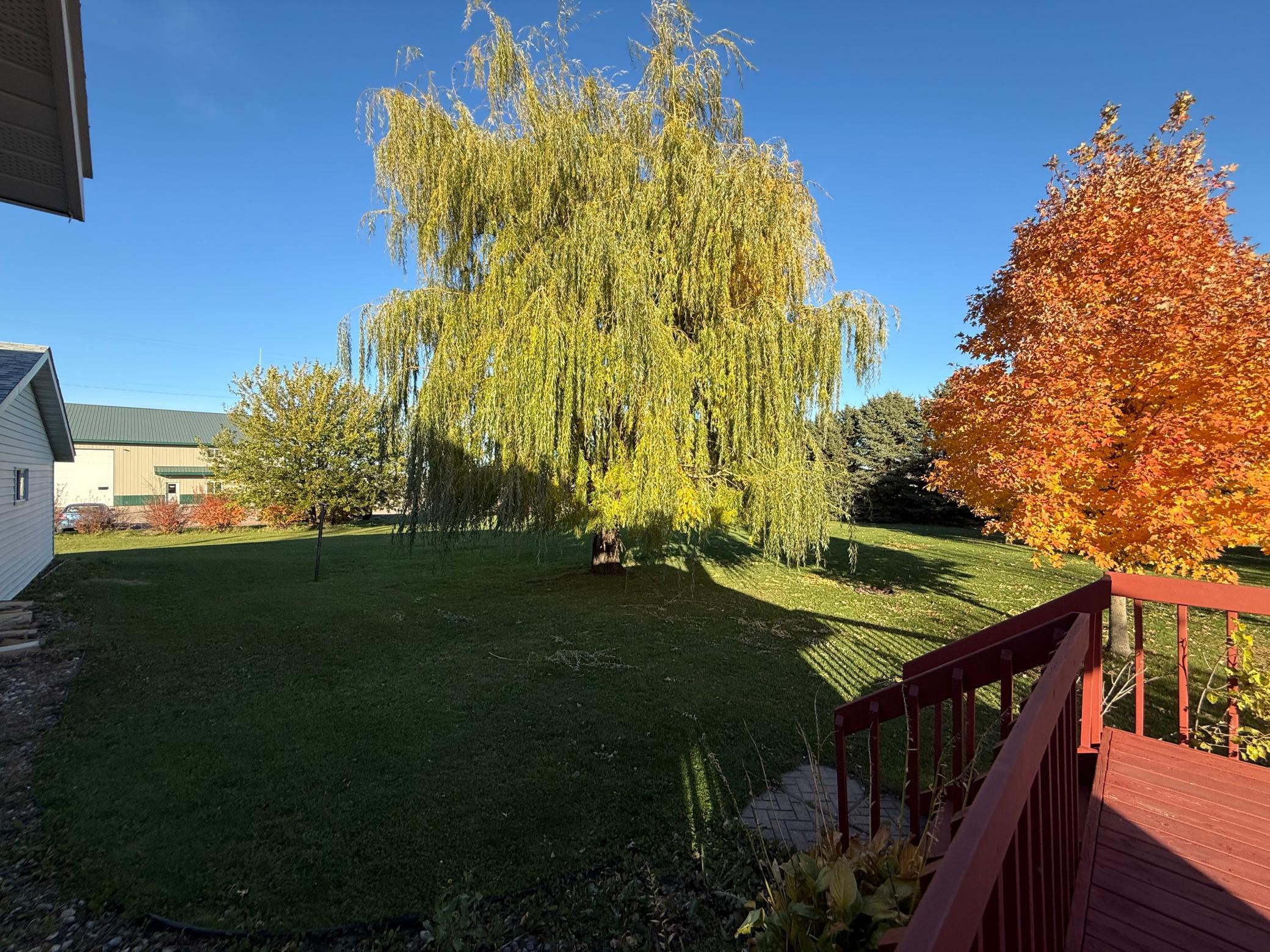 106 N 2nd Street Belview MN 56214