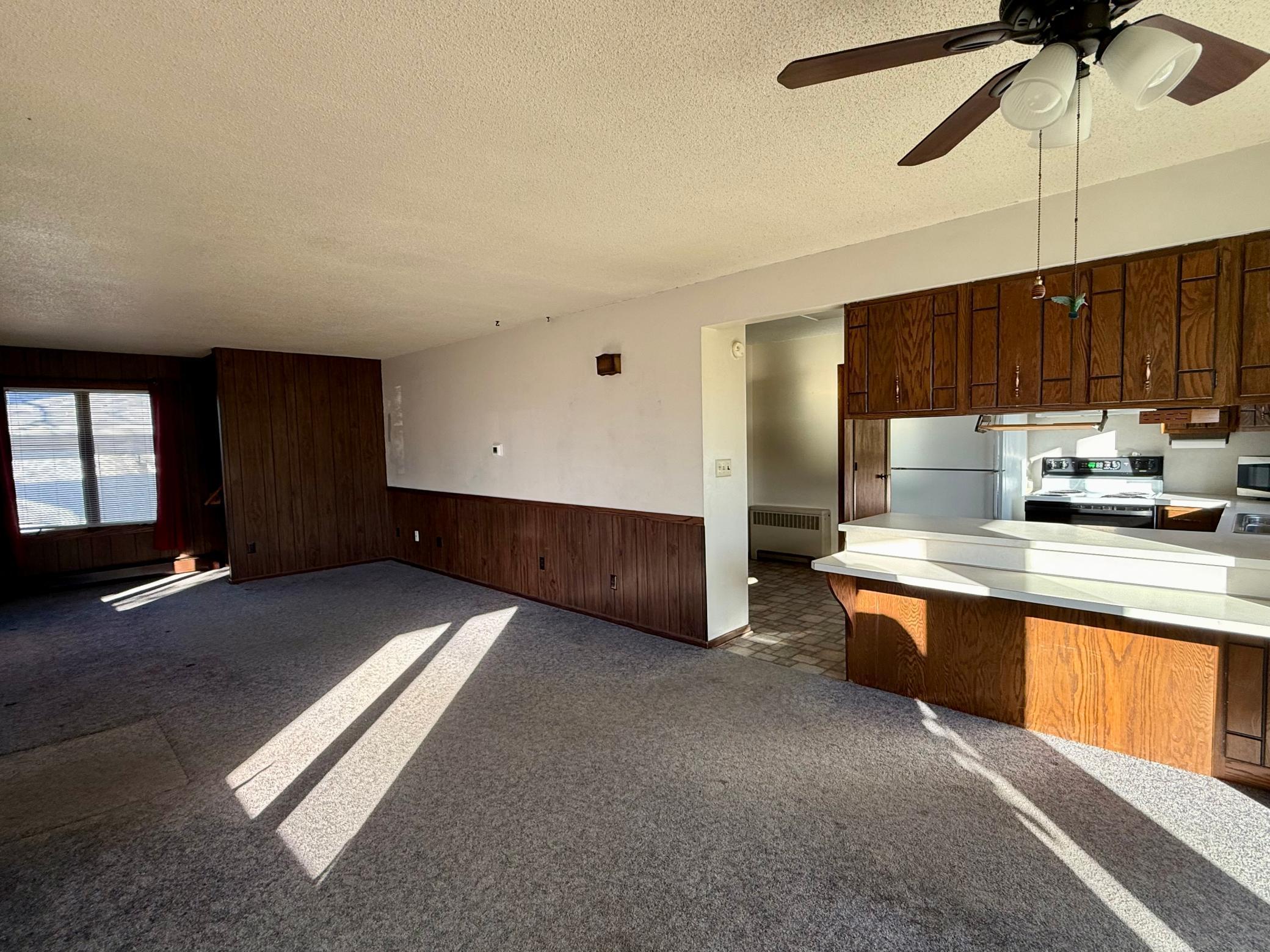 106 N 2nd Street Belview MN 56214