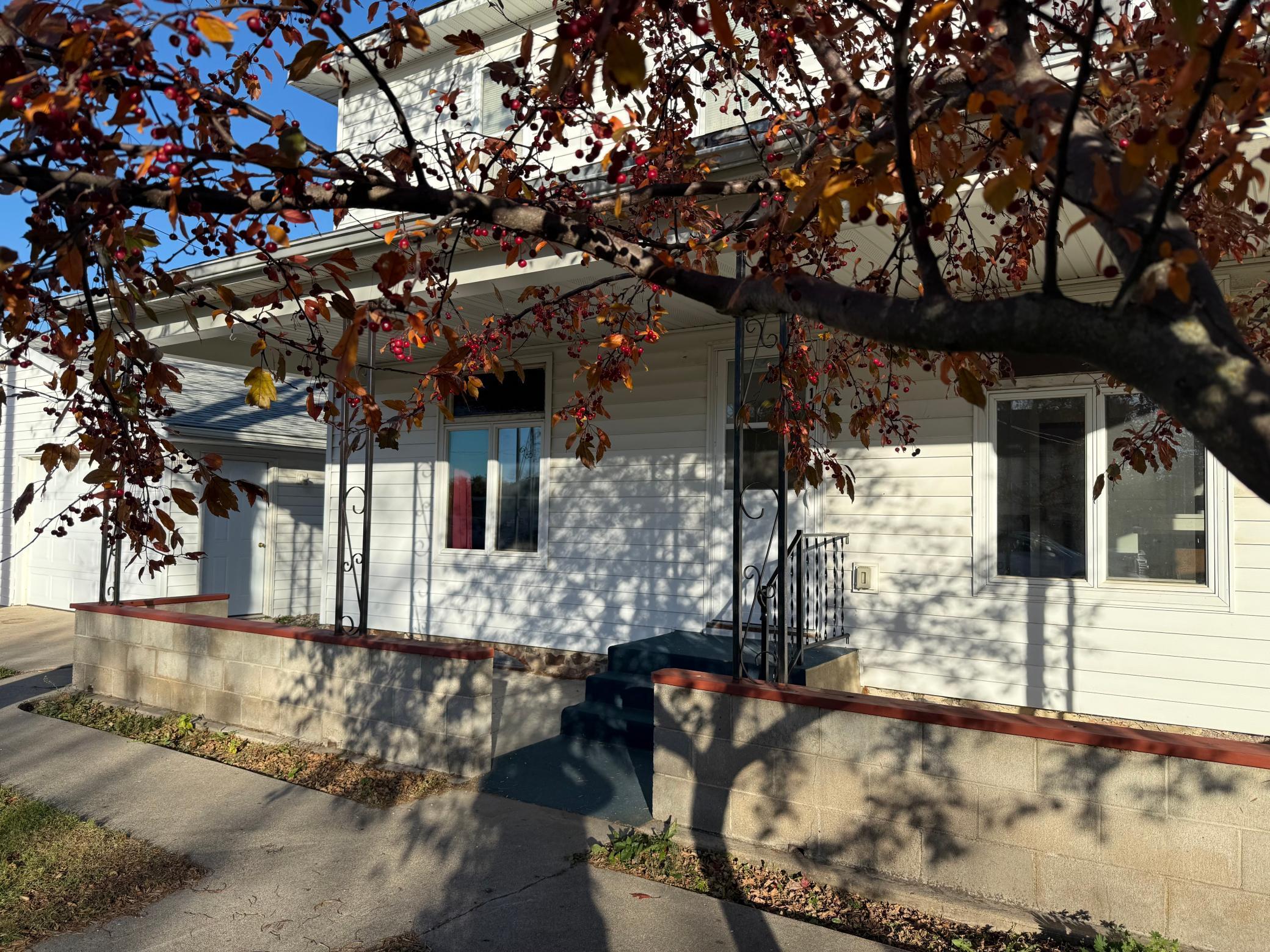 106 N 2nd Street Belview MN 56214