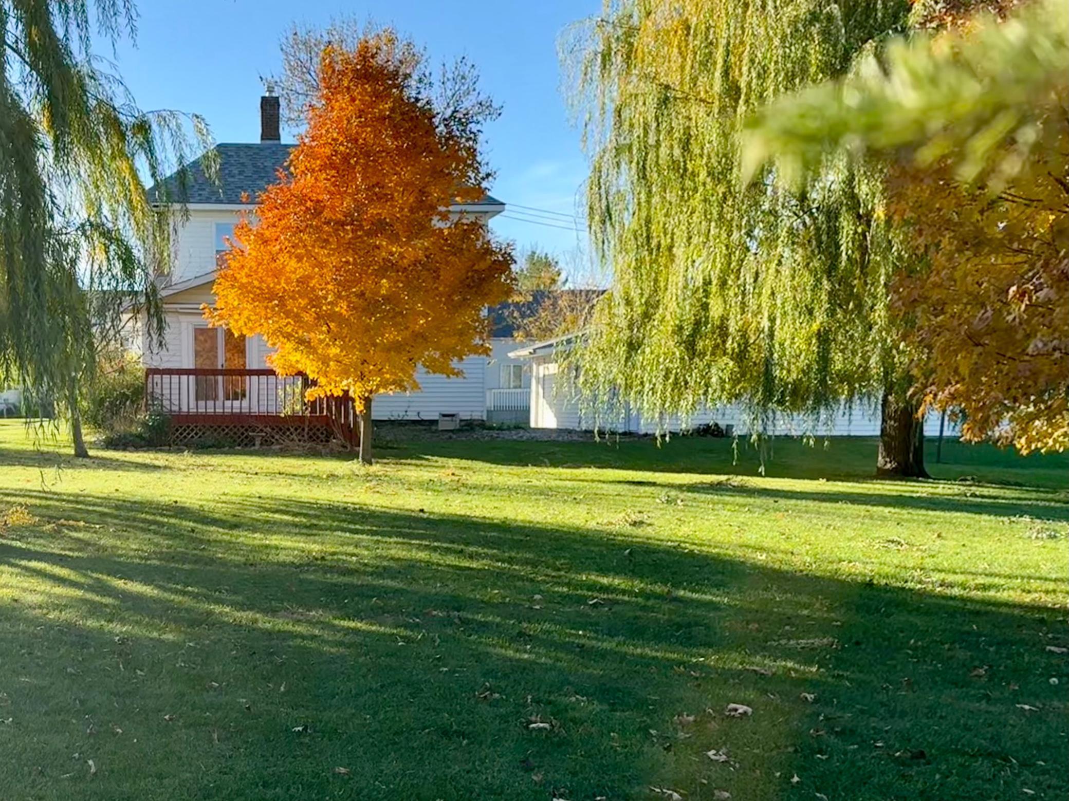 106 N 2nd Street Belview MN 56214