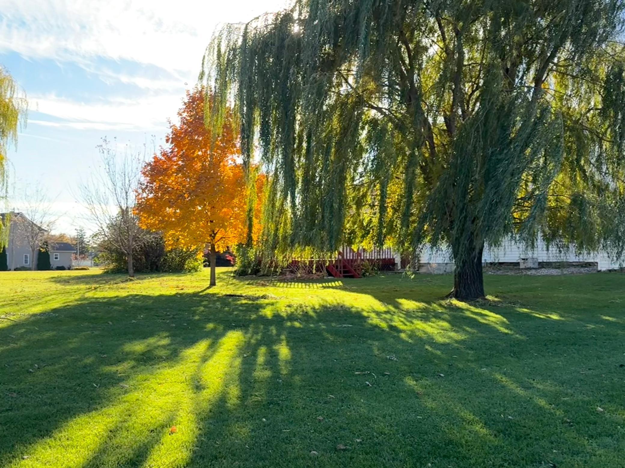 106 N 2nd Street Belview MN 56214