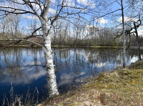 1384 Highway 23 Ogilvie MN 56358