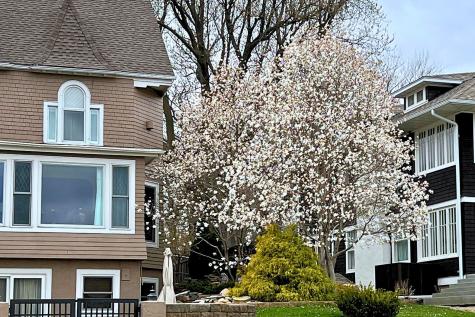 425 Lakeview Boulevard Albert Lea MN 56007